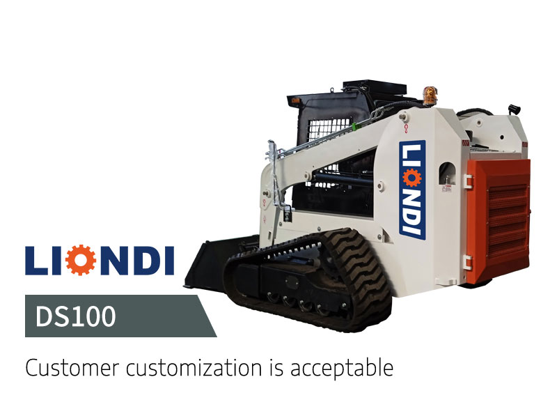 DS100 Skid Loader